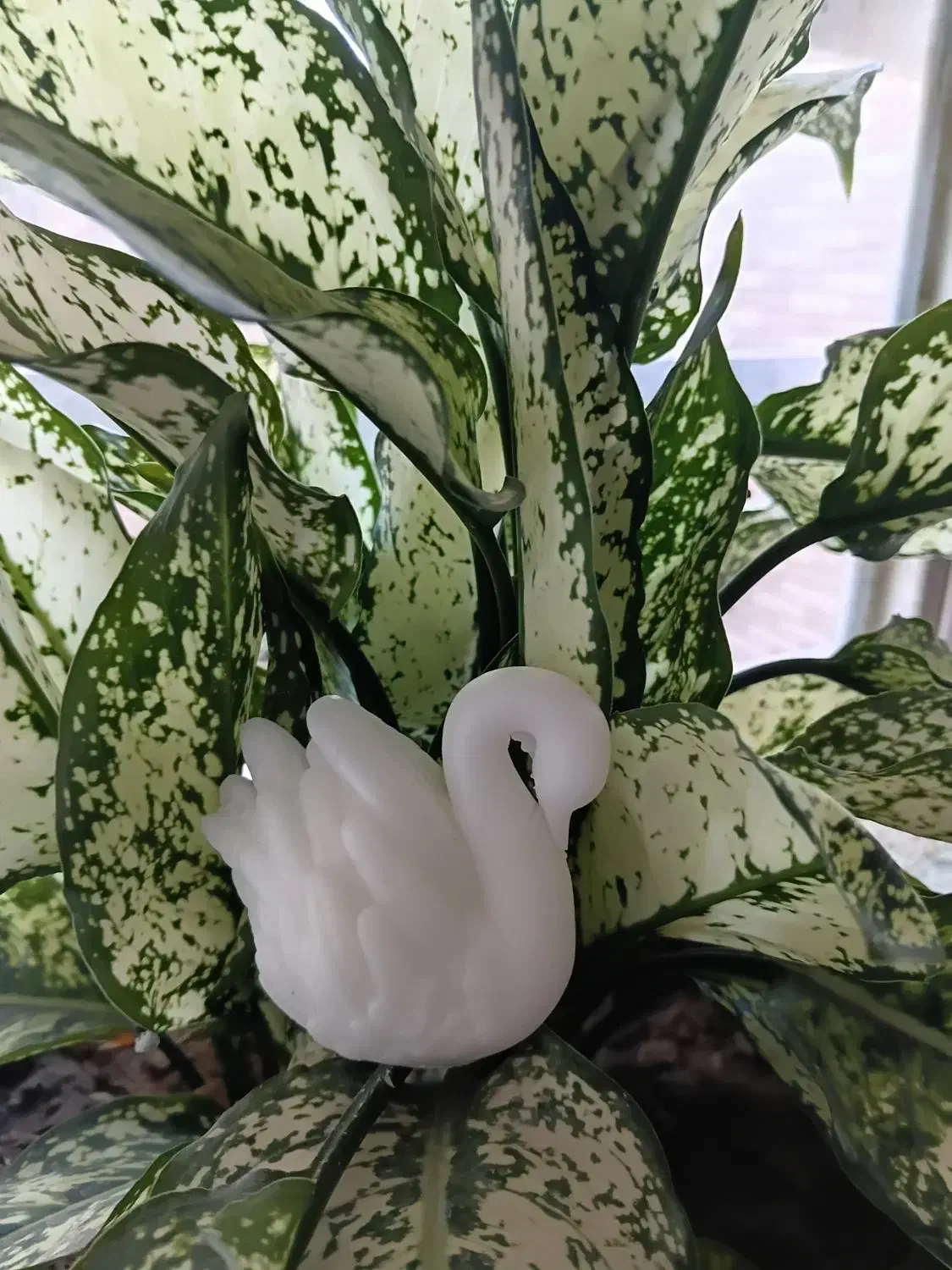 (قو تنها پرنده هست که عاشق میشود و وفادارمیماند)|صنایع دستی و سایر لوازم تزئینی|کرمان, |دیوار