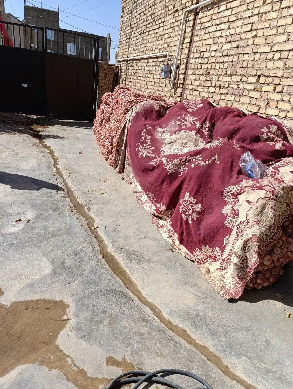 فروش پیاز محلی|عمدهفروشی|قیدار, |دیوار