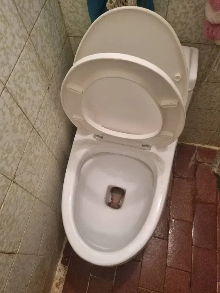 دستشویی فرنگی|لوازم سرویس بهداشتی|شیراز, شاهجیان|دیوار