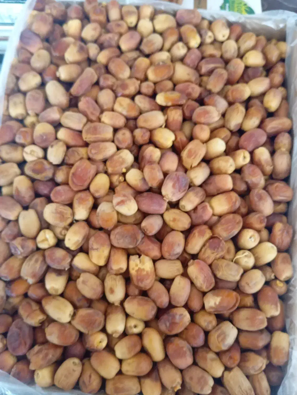 خرما زاهدی|خوردنی و آشامیدنی|قرق, |دیوار