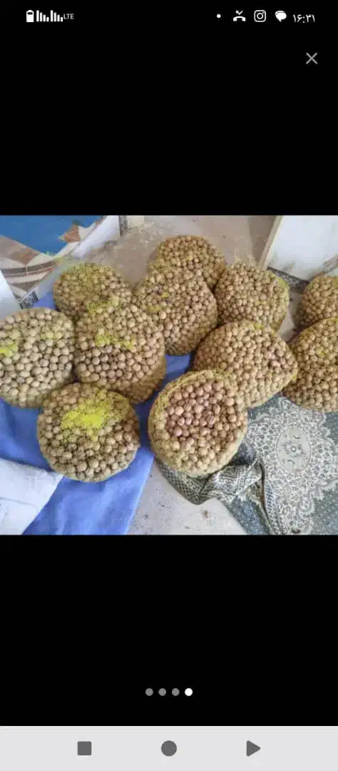 نیازمندیک نفرباغبان|خدمات باغبانی و درختکاری|خرم‌آباد, |دیوار