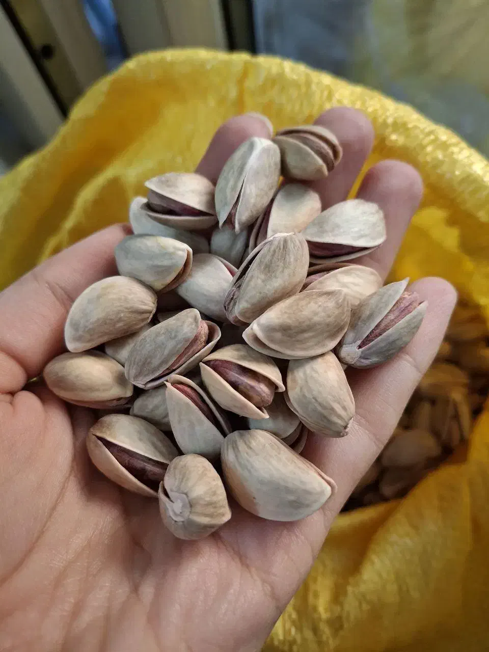 پسته خشک خندان دامغان امساله|خوردنی و آشامیدنی|تهران, میرداماد|دیوار