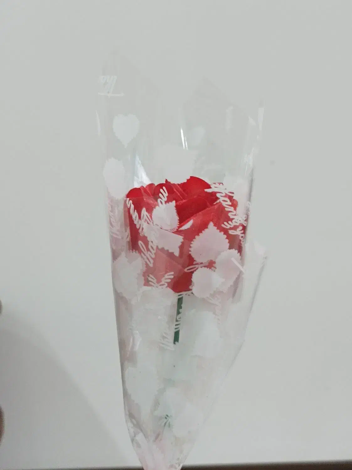 گل ربانی|گل مصنوعی|گلستان (تهران), |دیوار