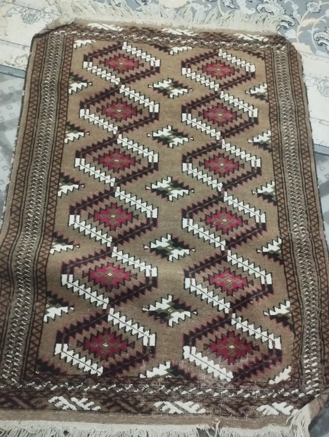 گلیم انتیک سالم وتمیز|گلیم، جاجیم، گبه|مشهد, میان ولایت|دیوار