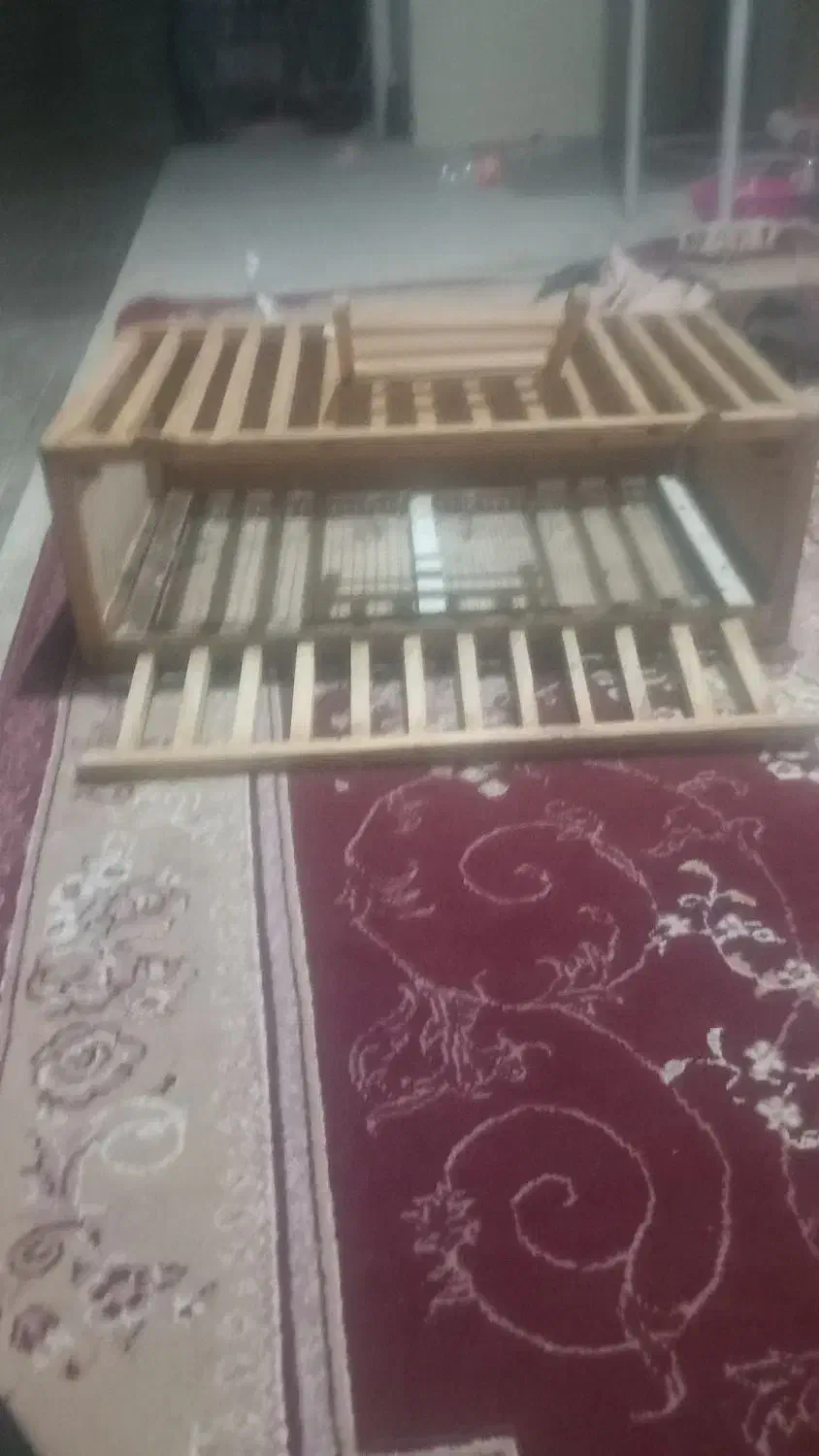 لانه کبوتر|پرنده|باروق, |دیوار