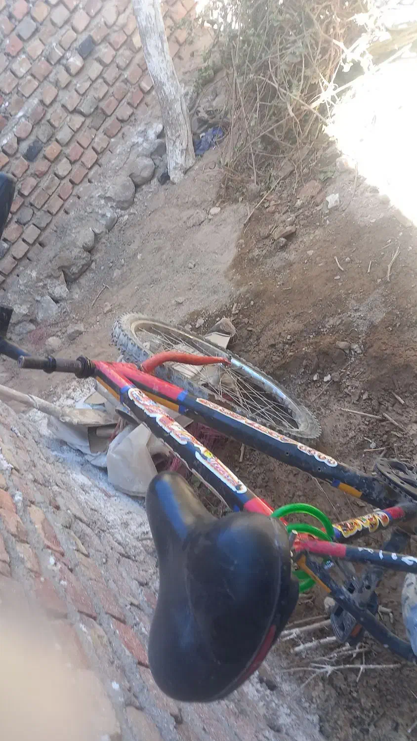 دوچرخه ۲۶|دوچرخه، اسکیت، اسکوتر|خاش, |دیوار