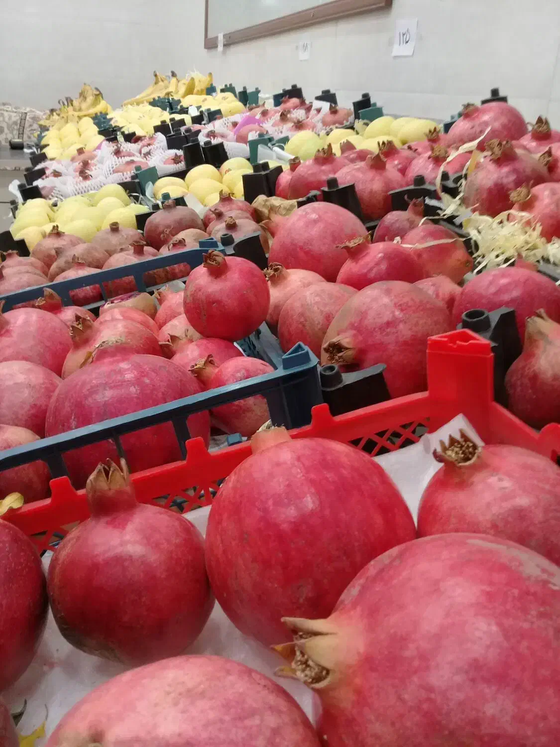 شاگرد میوه فروشی|استخدام بازاریابی و فروش|آشخانه, |دیوار