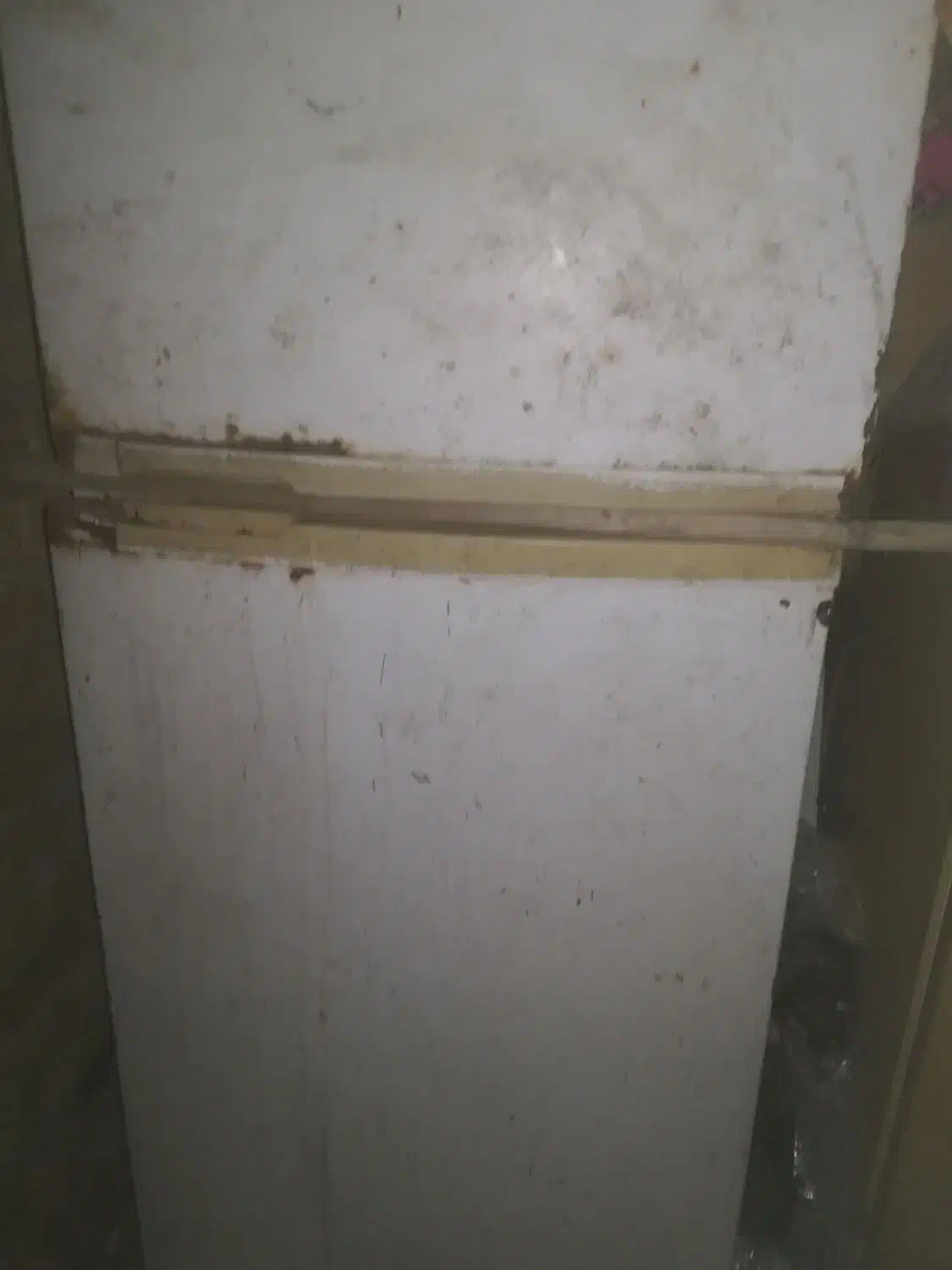 یخچال آزمایش/یخچال امرسان|یخچال و فریزر|شیراز, شاپورجان|دیوار