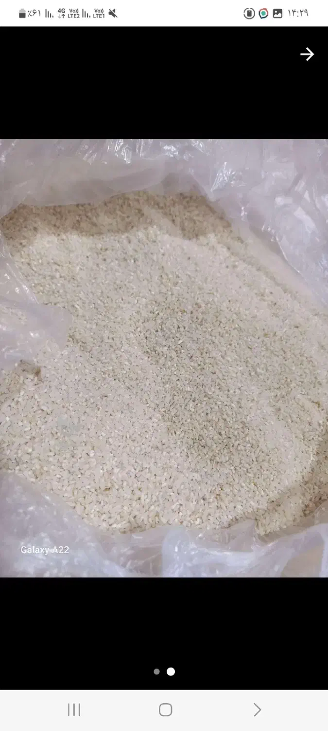 برنج نیم دانه طارم هاشمی کشت اول|خوردنی و آشامیدنی|آمل, |دیوار