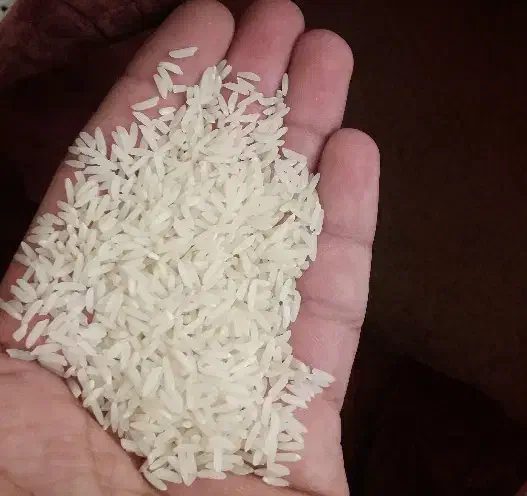 برنج طارم هاشمی|خوردنی و آشامیدنی|نکا, |دیوار