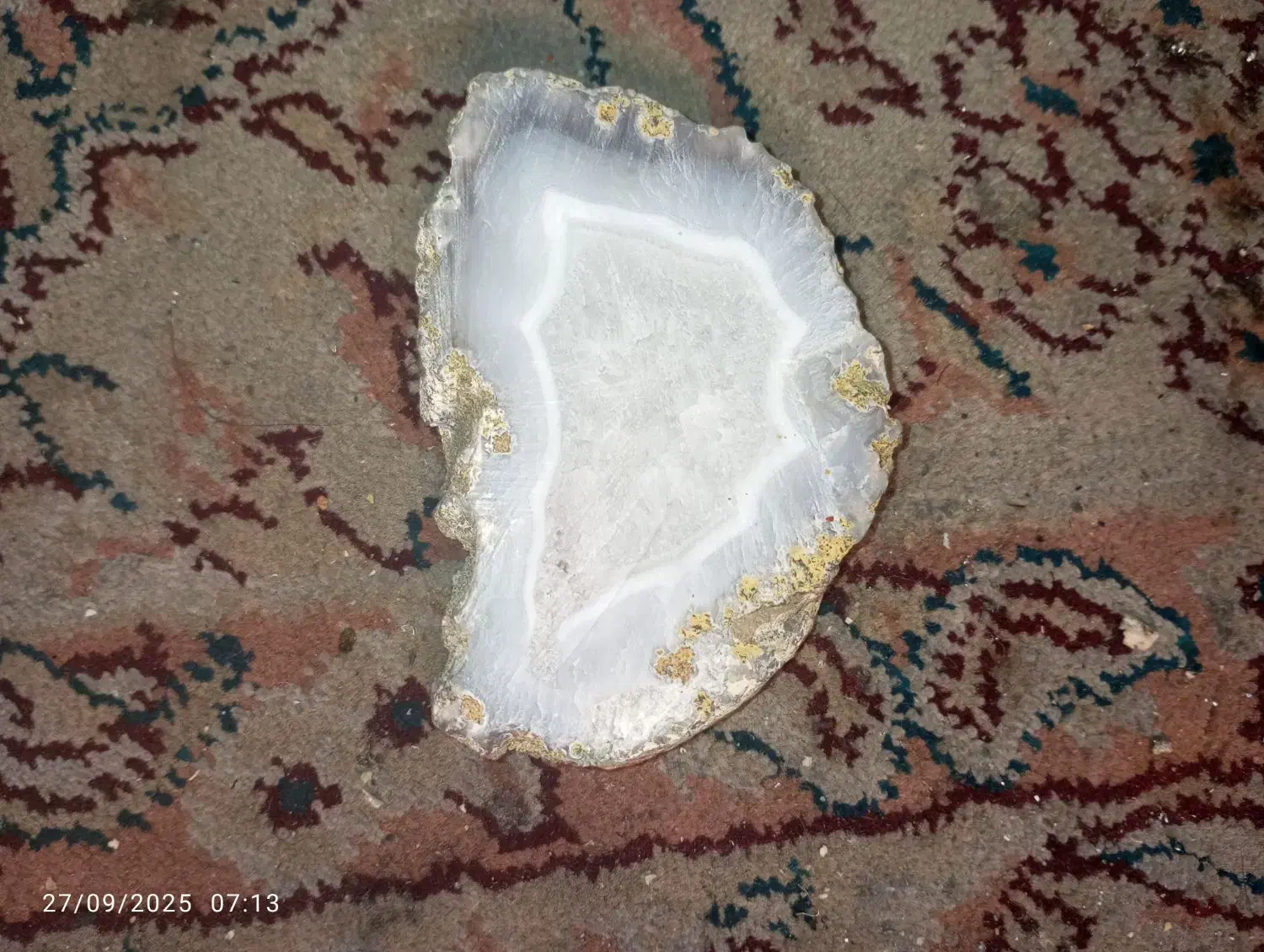 سنگ شجر|جواهرات|مهاجران, |دیوار