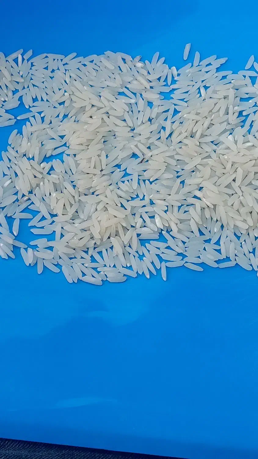 فروش برنج هاشمی دو نوج درجه یک|خوردنی و آشامیدنی|بابلسر, |دیوار