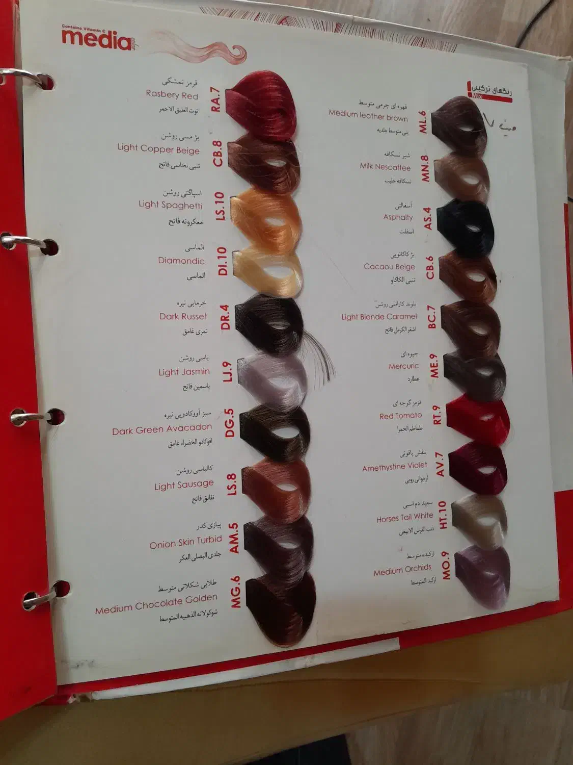 آلبوم رنگ|آرایشی، بهداشتی، درمانی|رشت, انصاری|دیوار