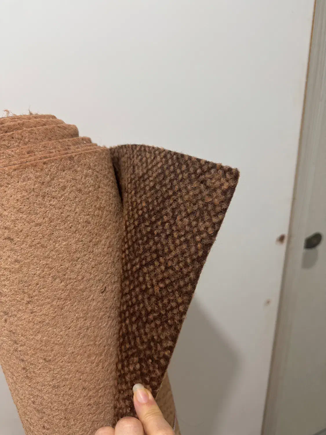 موکت نو|موکت|مزرعه کتول, |دیوار