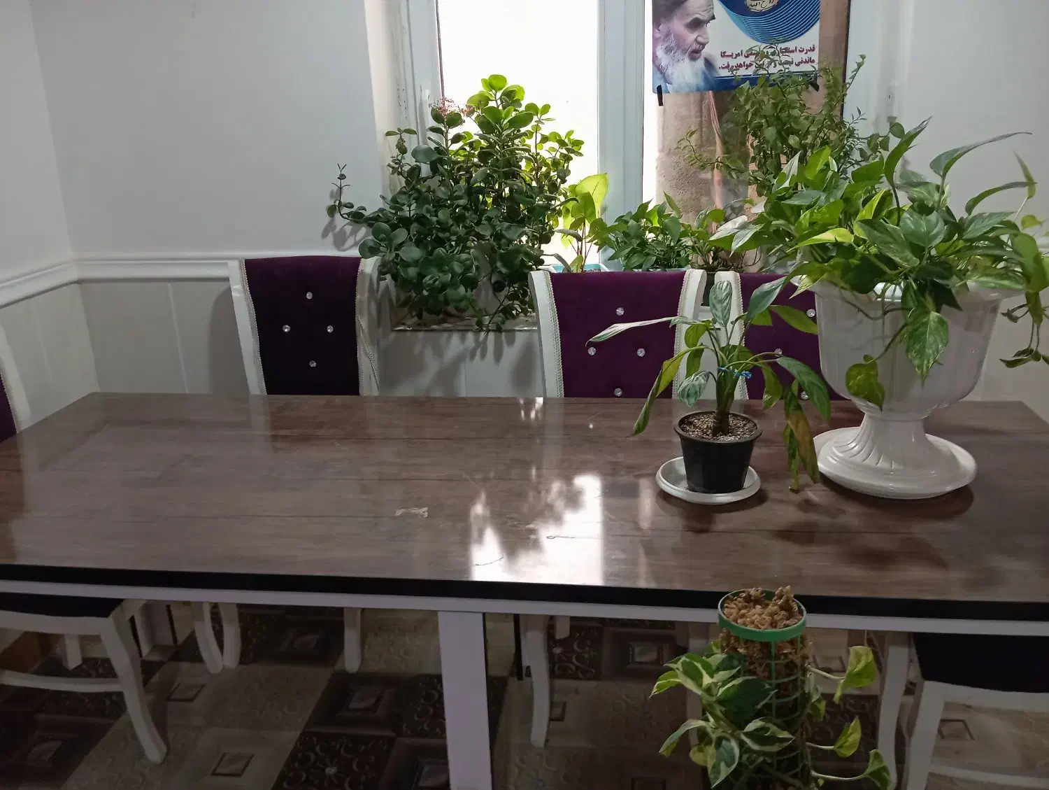 میزو صندلی نهارخوری|میز و صندلی غذاخوری|سعدآباد, |دیوار