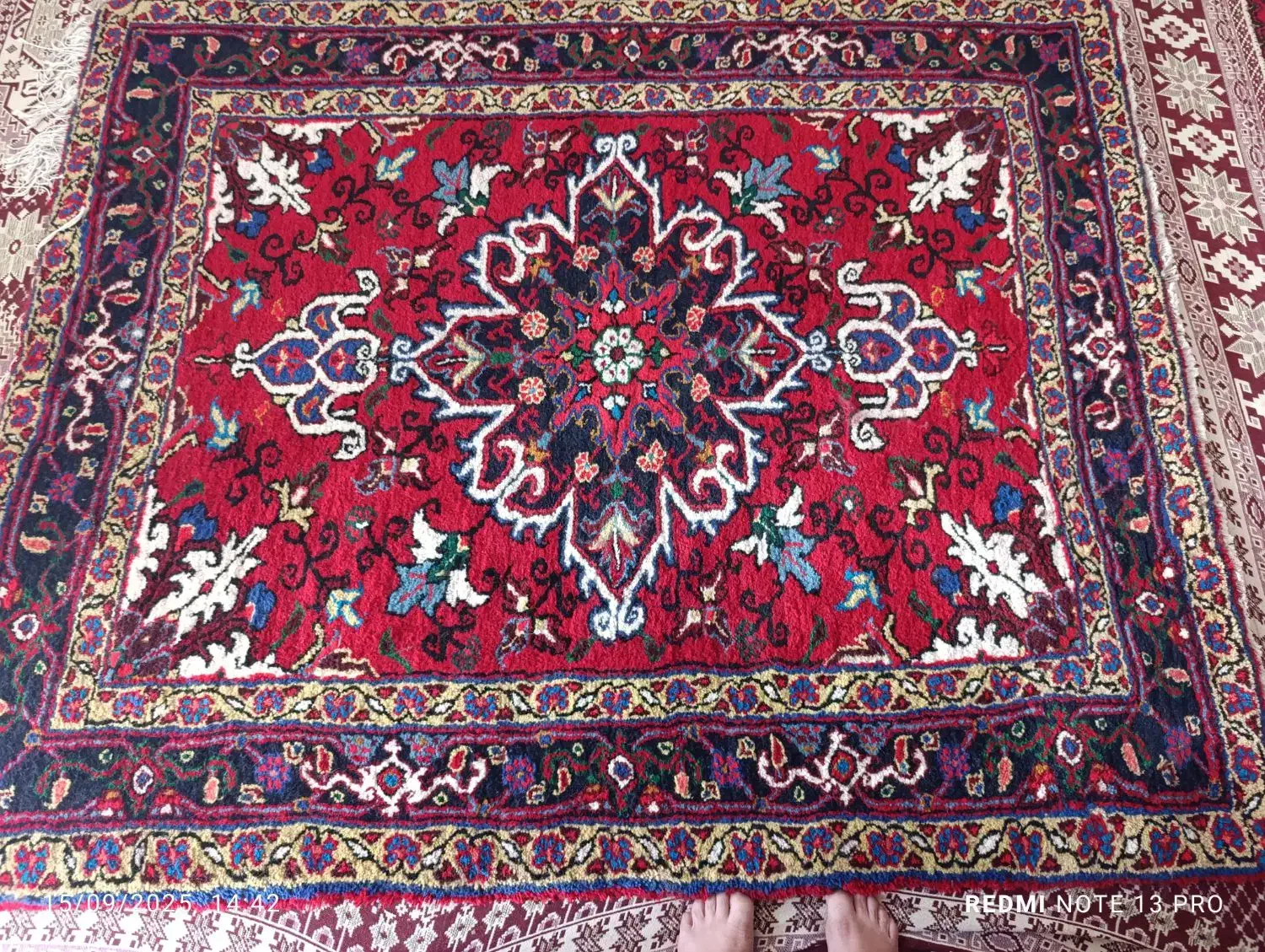 فرش هریس|فرش|تبریز, |دیوار