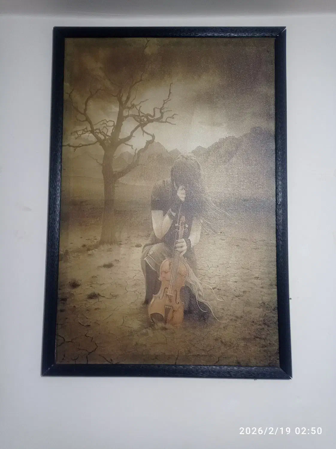 تابلو|تابلو، نقاشی، عکس|تویسرکان, |دیوار