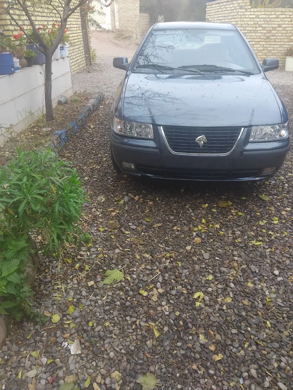 سمند مدل 83|خودرو سواری و وانت|رشت, کوی قدس|دیوار