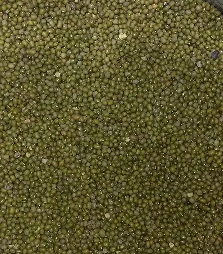 حبوبات ، نخود ، عدس ، لوبیا چیتی هندی|خوردنی و آشامیدنی|تربتحیدریه, آغوی|دیوار