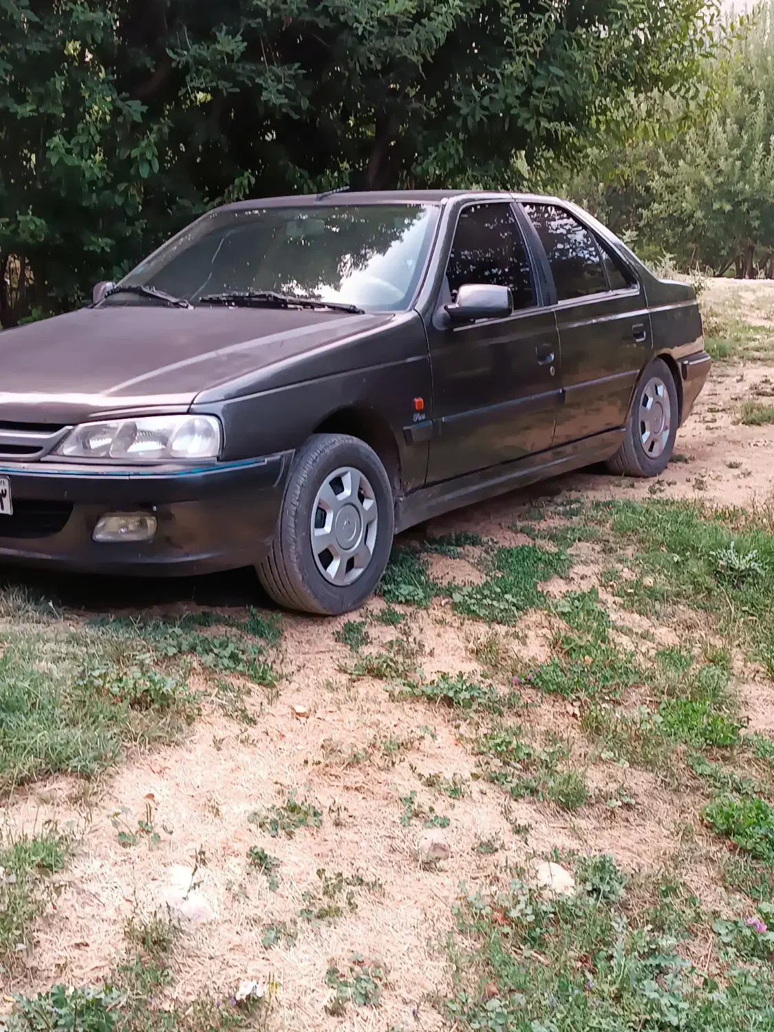 پژو پارس سال|خودرو سواری و وانت|شیراز, شهرک گلستان|دیوار