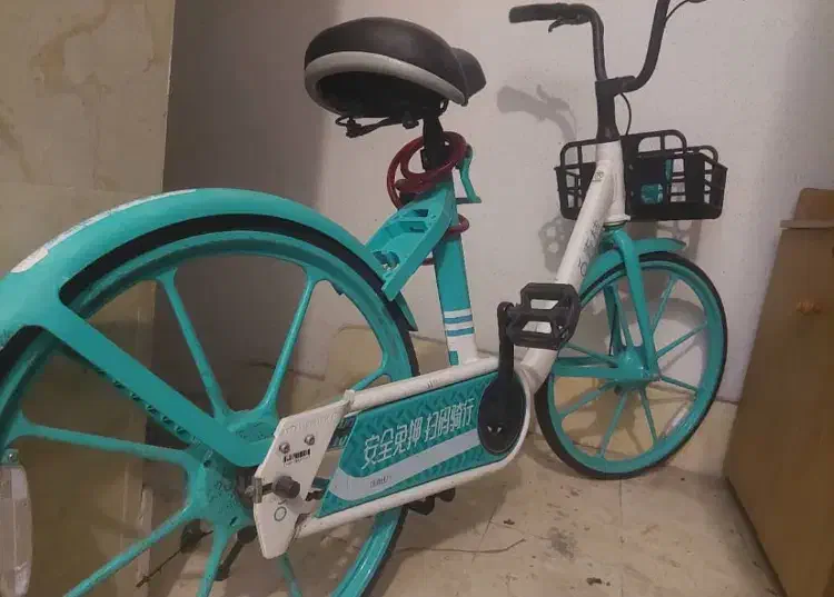 دوچرخه شهری|دوچرخه، اسکیت، اسکوتر|رشت, سعدی (تختی)|دیوار