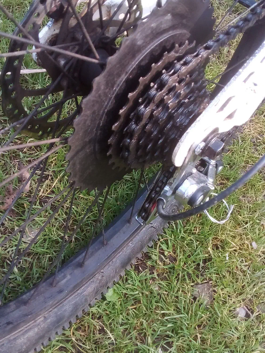 دوچرخه سایز ۲۴|دوچرخه، اسکیت، اسکوتر|رودسر, |دیوار