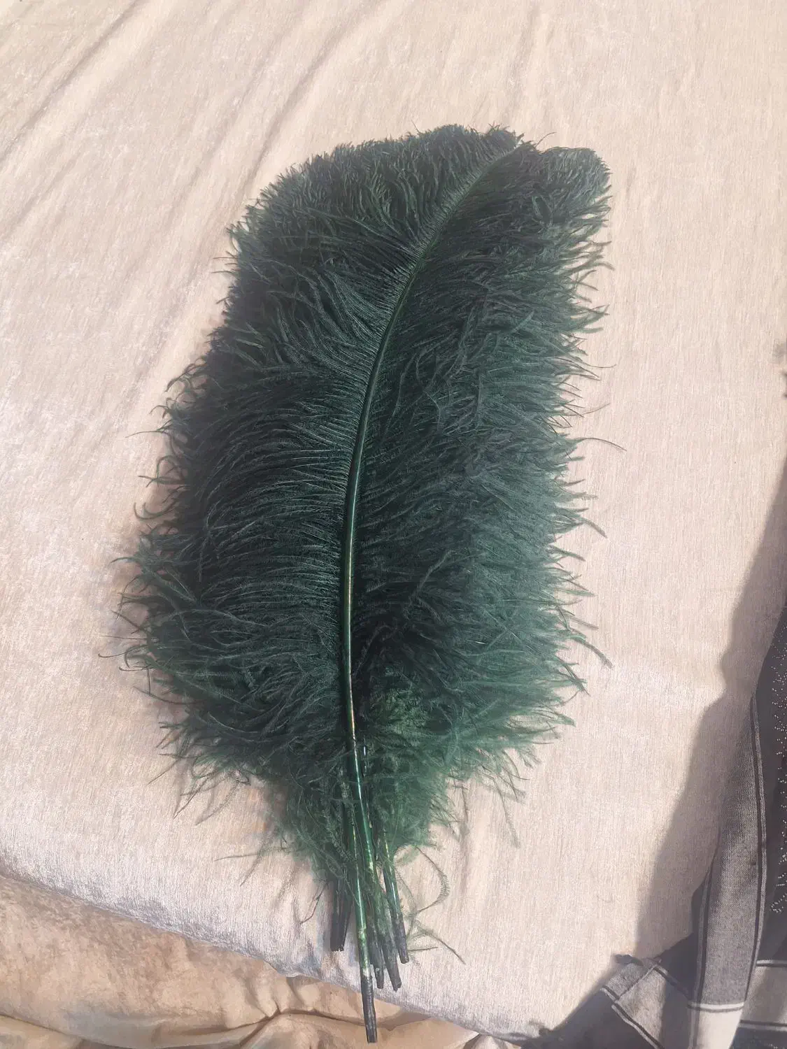 پر علم یا همون علامت|کلکسیون اشیاء عتیقه|مشهد, طبرسی شمالی|دیوار