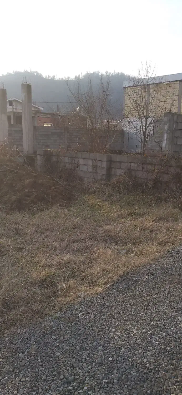 فروش فوری زمین سنددار|فروش زمین و ملک کلنگی|اسالم, |دیوار