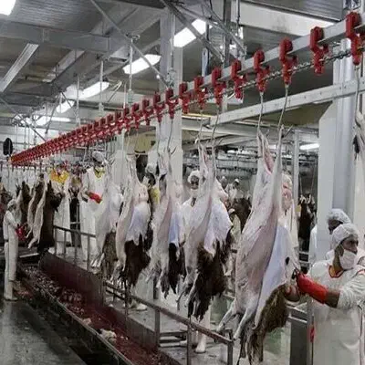 چند نگهبان برای نگهبانی کارخانه|استخدام سرایداری و نظافت|کرمانشاه, |دیوار