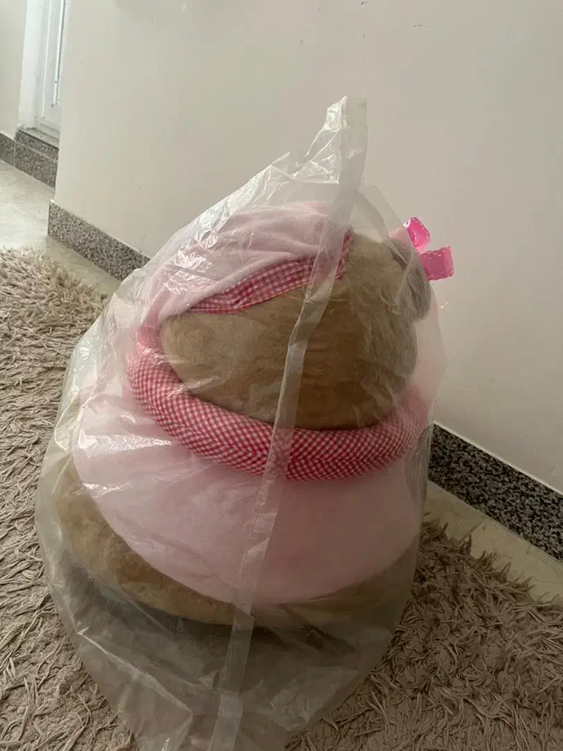 مبل کودک|تخت و صندلی بچه|تنکابن, |دیوار