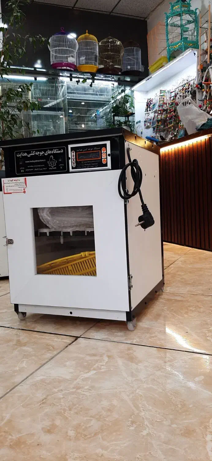 دستگاه جوجه کشی هدایت|ماشین‌آلات صنعتی|قرچک, میرزائی شمالی|دیوار