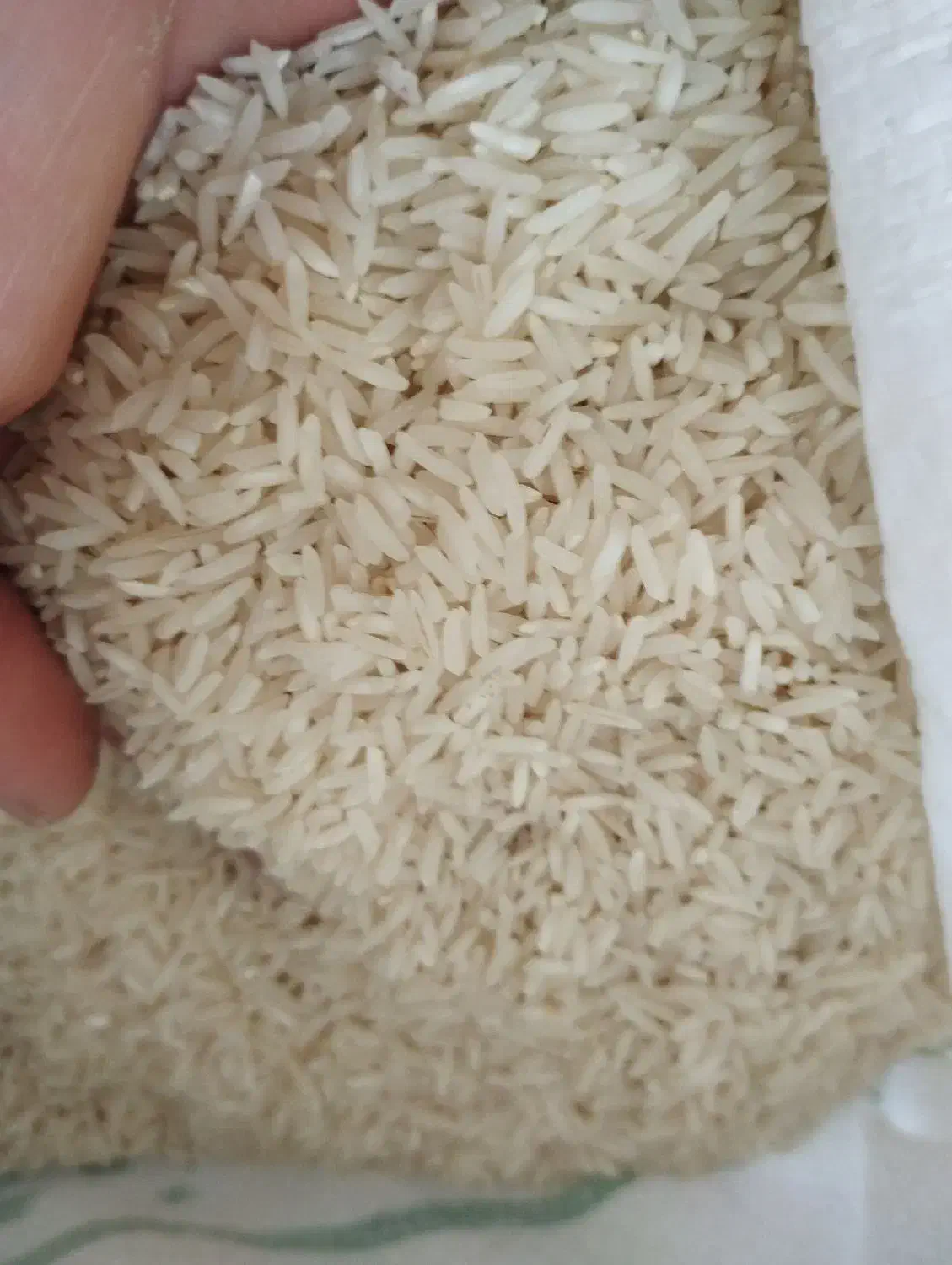 برنج مینودشت|خوردنی و آشامیدنی|دماوند, دماوند|دیوار