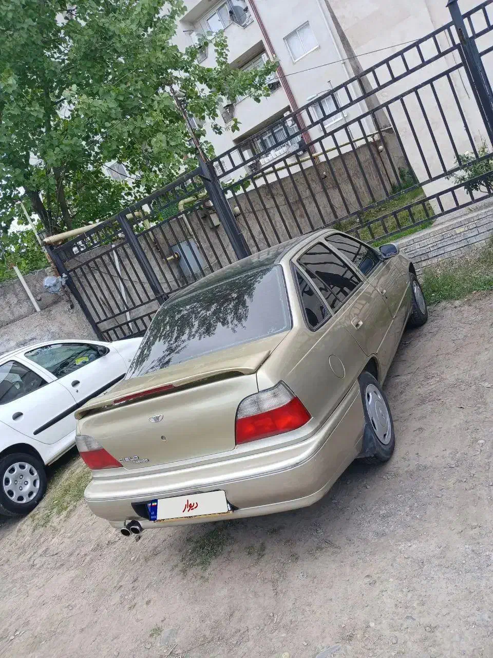 دوو سی یلو/ سیلو مدل ۸۱ کم کارکرد بسیار سالم|خودرو سواری و وانت|تهران, نیروی هوایی (پیروزی)|دیوار