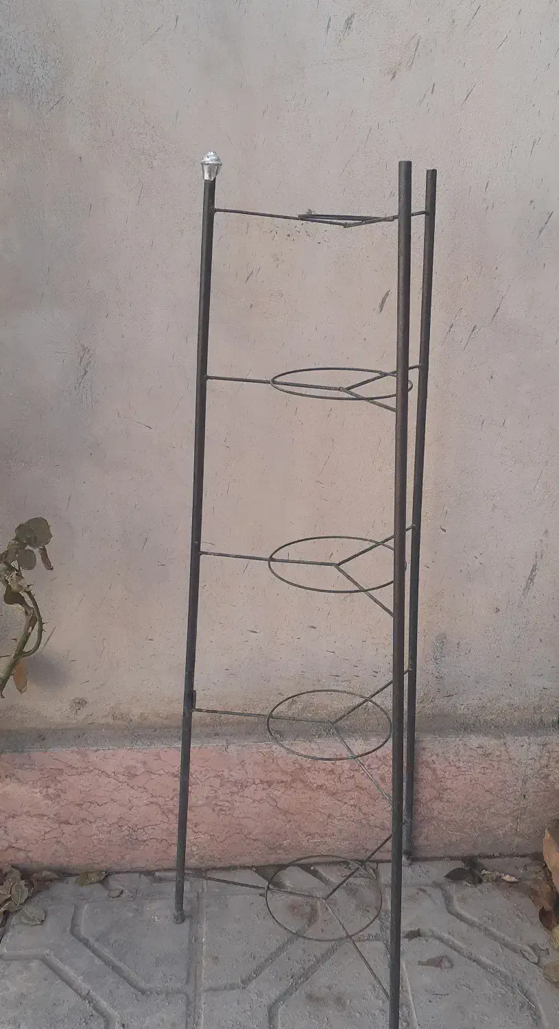 استند|آبچکان و نظمدهنده ظروف|شیروان (خراسان), |دیوار