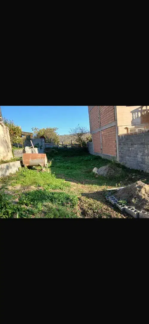 فروش زمین ییلاقی با ویو دار|فروش زمین و ملک کلنگی|پایین هولار, |دیوار