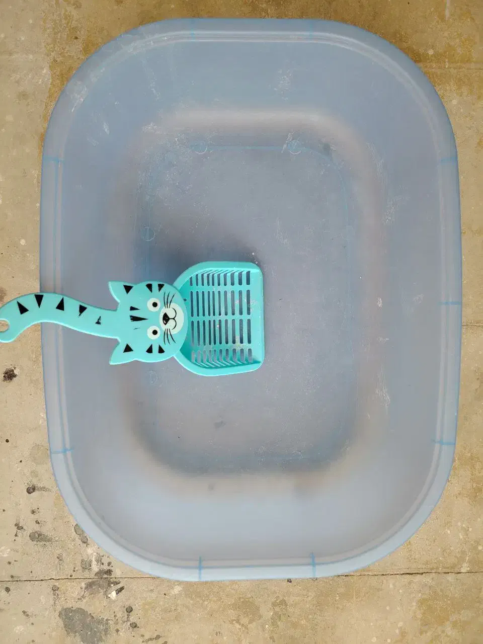 وسایل گربه|لوازم جانبی حیوانات|شیراز, شهرک گلستان|دیوار