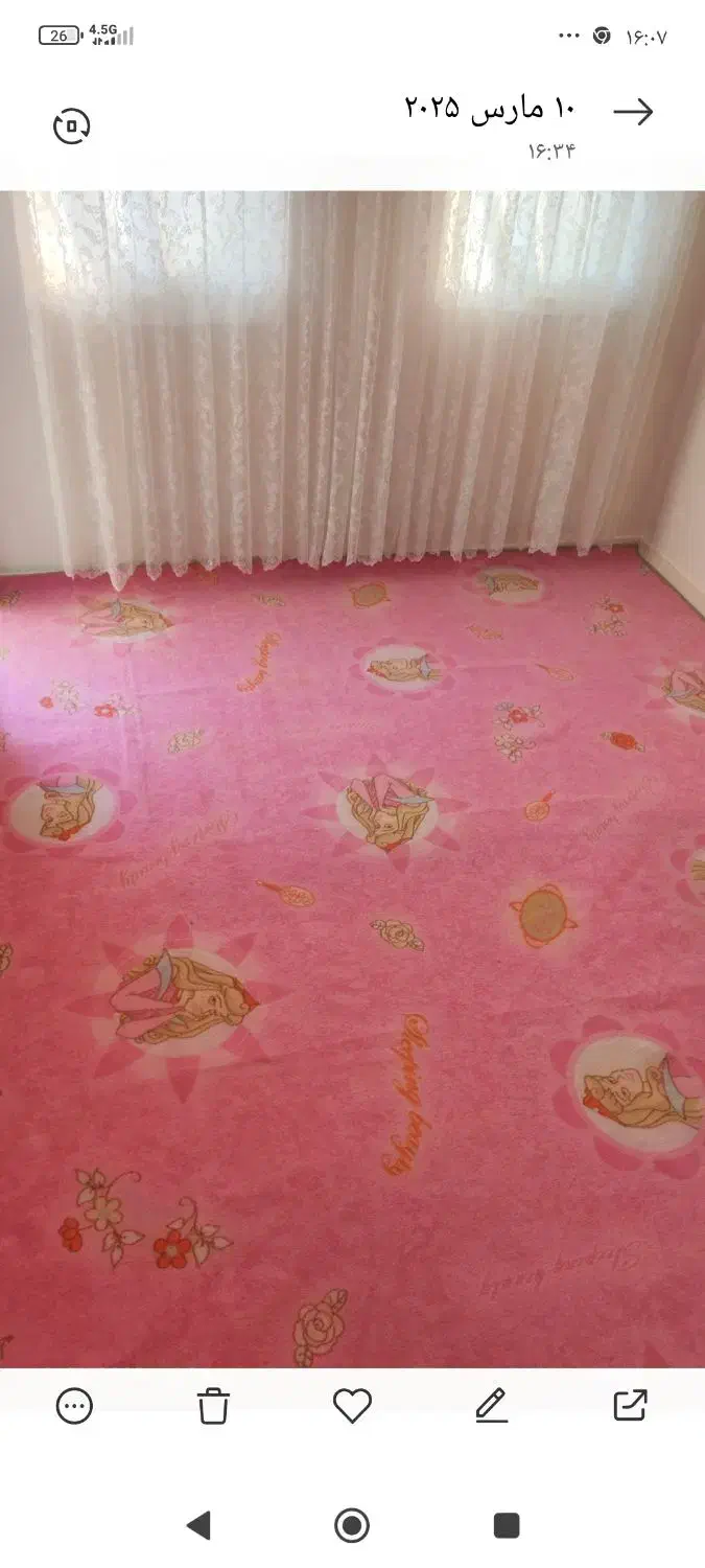 پالاز موکت|موکت|تهران, گلستان (شهرک راه آهن)|دیوار