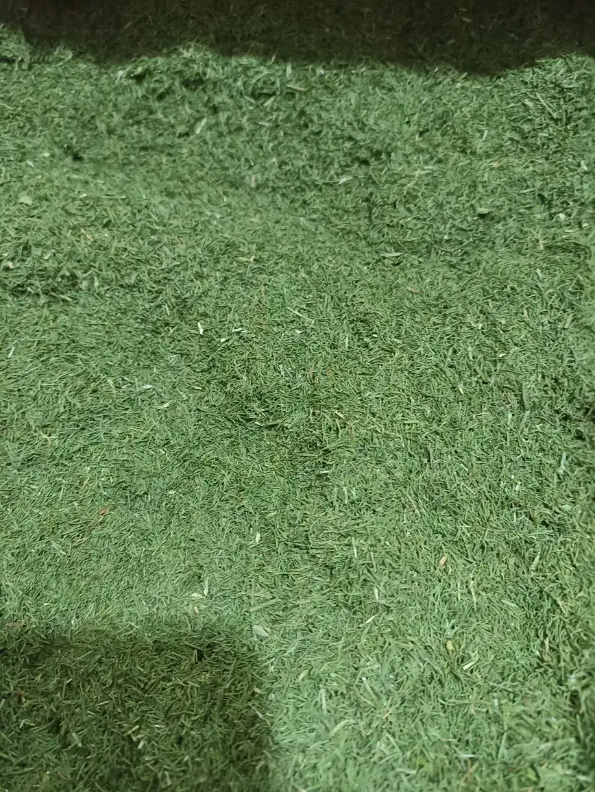 سبزی خشک معطر|خوردنی و آشامیدنی|نیشابور, سرآب کوشک|دیوار