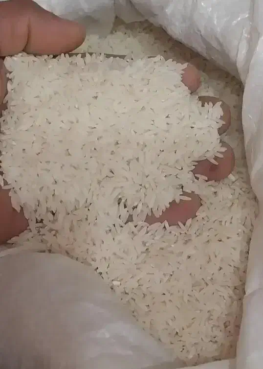 ۸۳۵ کیلو لاشه ۱۵۰۰ کیلو برنج هاشمی سورت شده اصل|خوردنی و آشامیدنی|تولم شهر, |دیوار