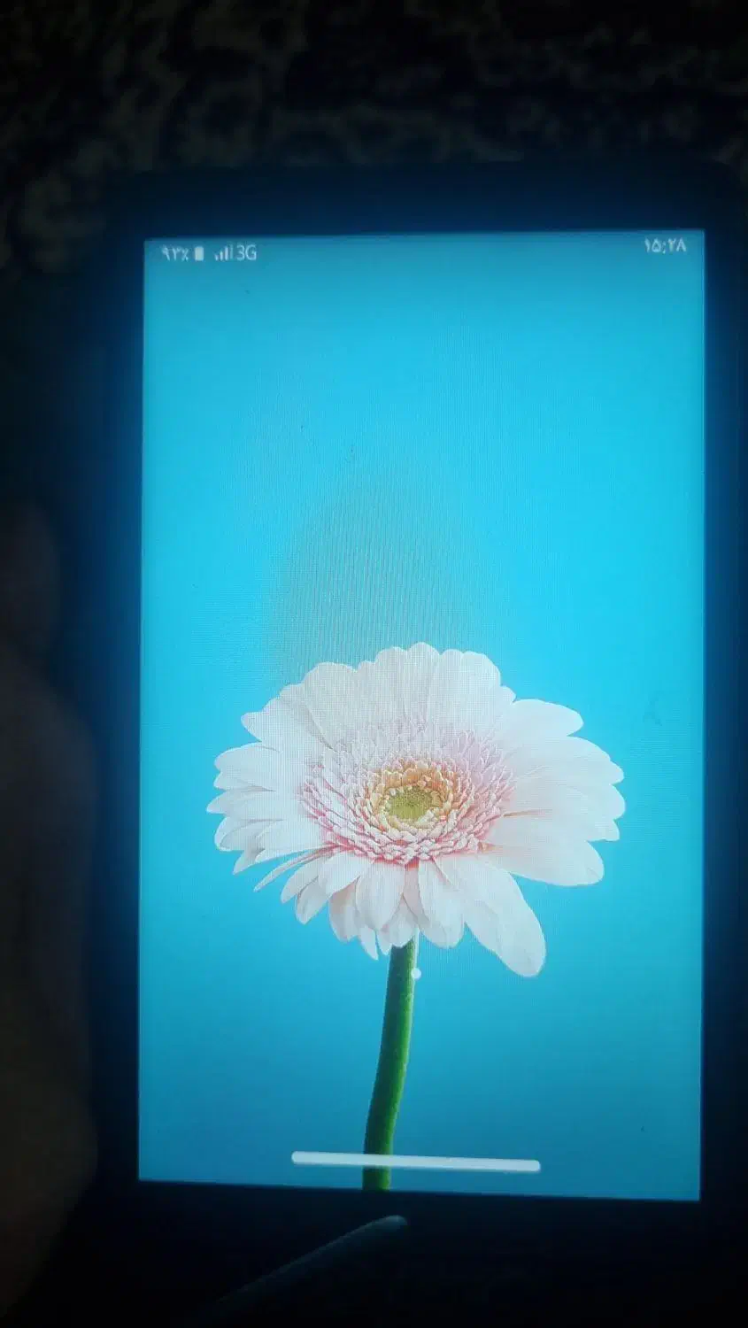 تبلت لنو|تبلت|مشهد, انصار|دیوار