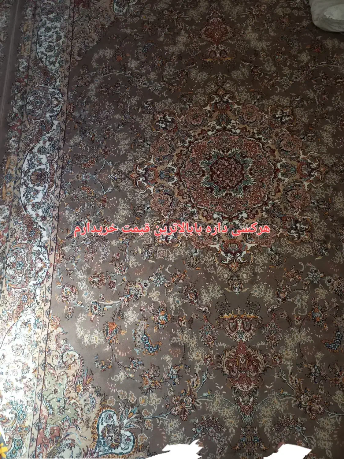فرش گردویی|فرش|سنندج, |دیوار