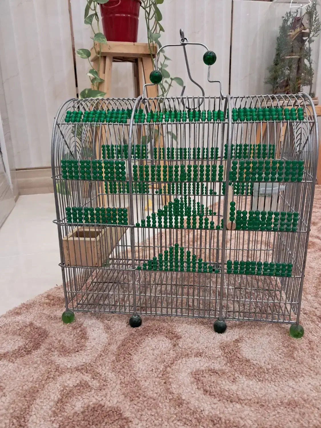 قفس سهره دست ساز مهره سبز|لوازم جانبی حیوانات|مرودشت, ثبت احوال|دیوار