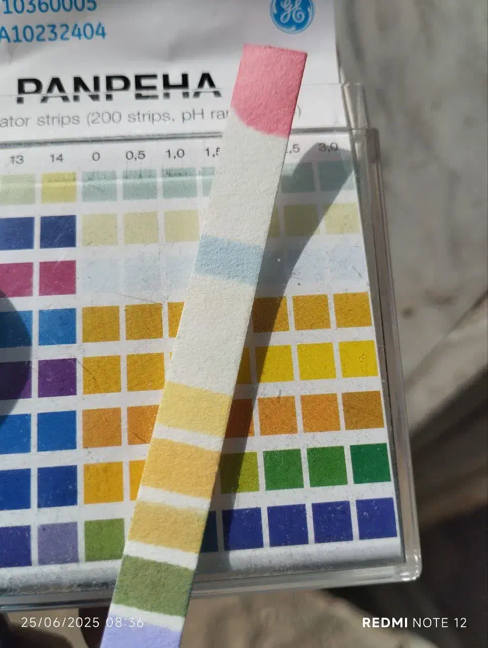 کاغذ پی اچ PH|لوازم التحریر|زنجان, |دیوار