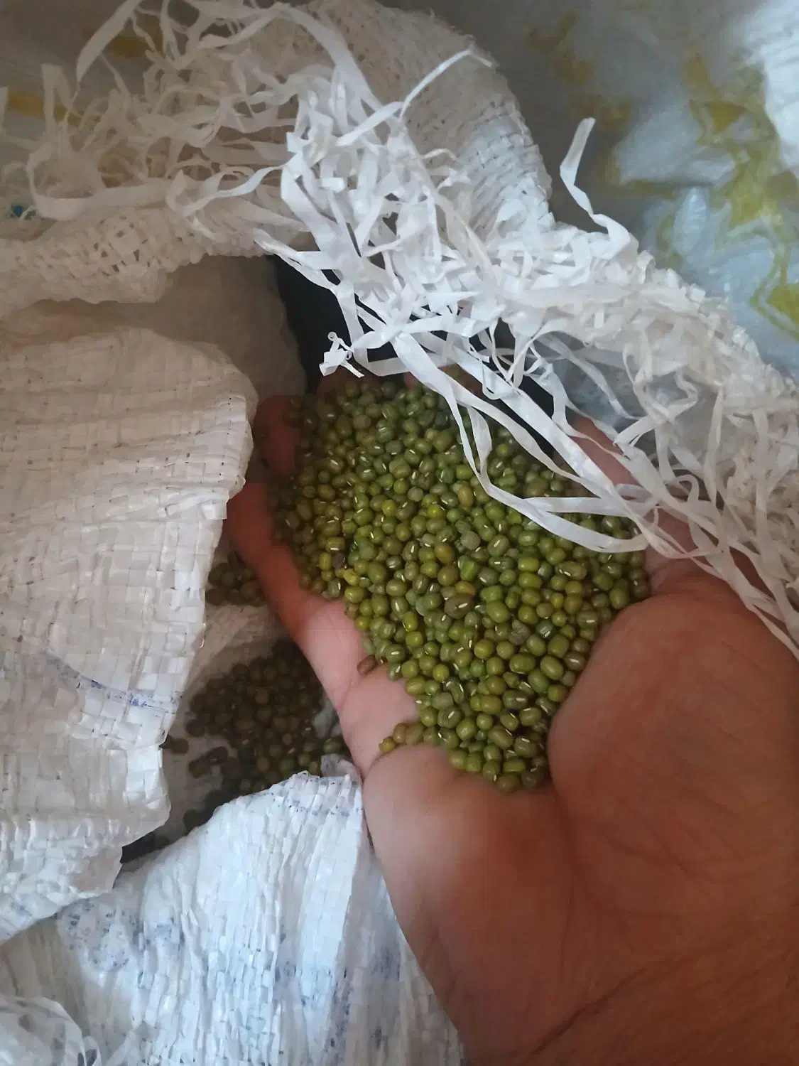 با سلام|عمدهفروشی|فولادشهر, مسکن مهر فولادشهر|دیوار