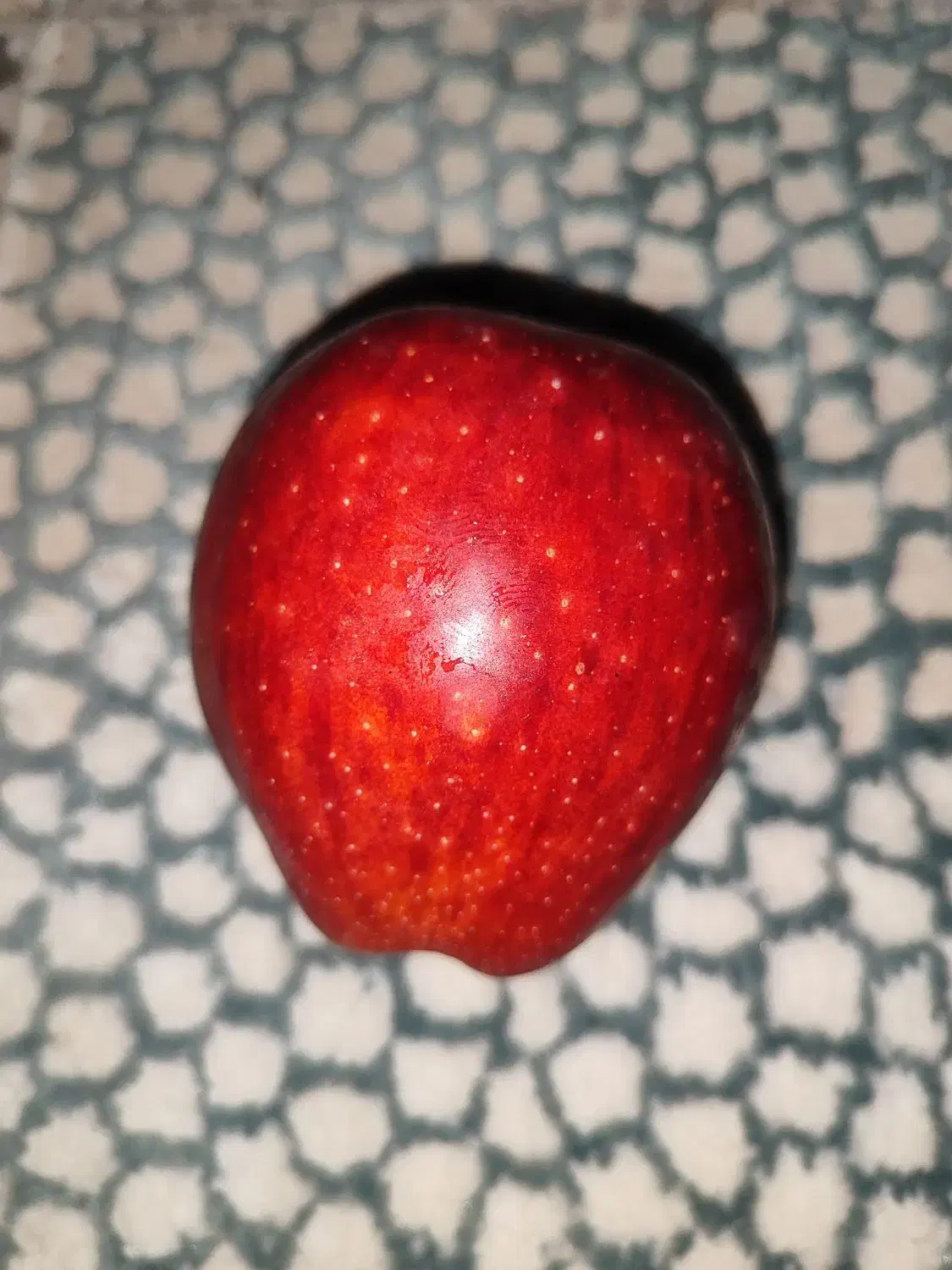 سیب قرمز تناژ نامحدود|عمده‌فروشی|مهاباد (آذربایجان غربی), |دیوار