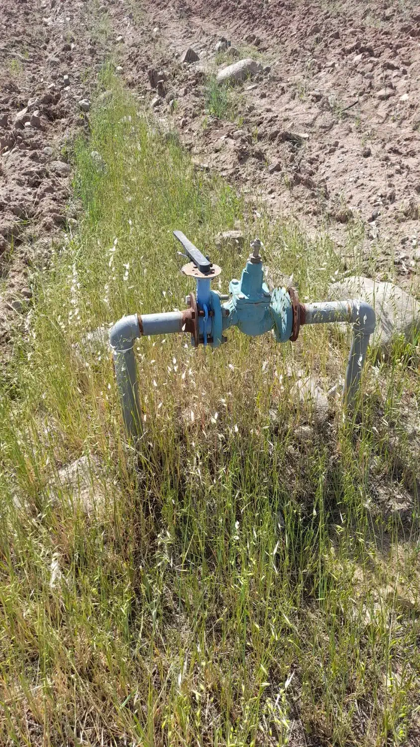 ۲هکتار زمین زراعی مرغوب|فروش دفتر صنعتی، کشاورزی، تجاری|فیروز, |دیوار