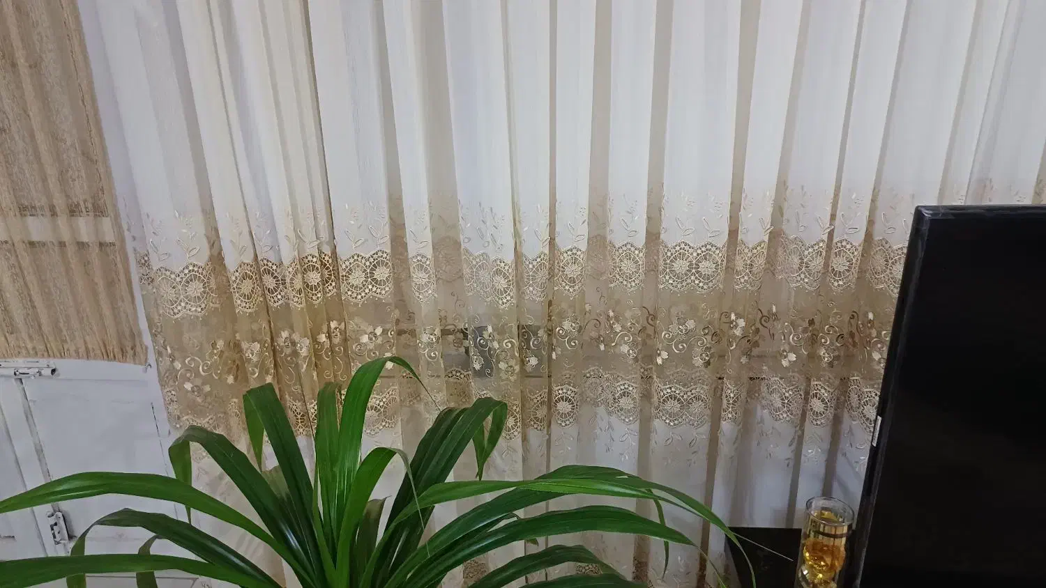 پرده|پرده، رانر، رومیزی|تربتحیدریه, باغ سلطانی|دیوار