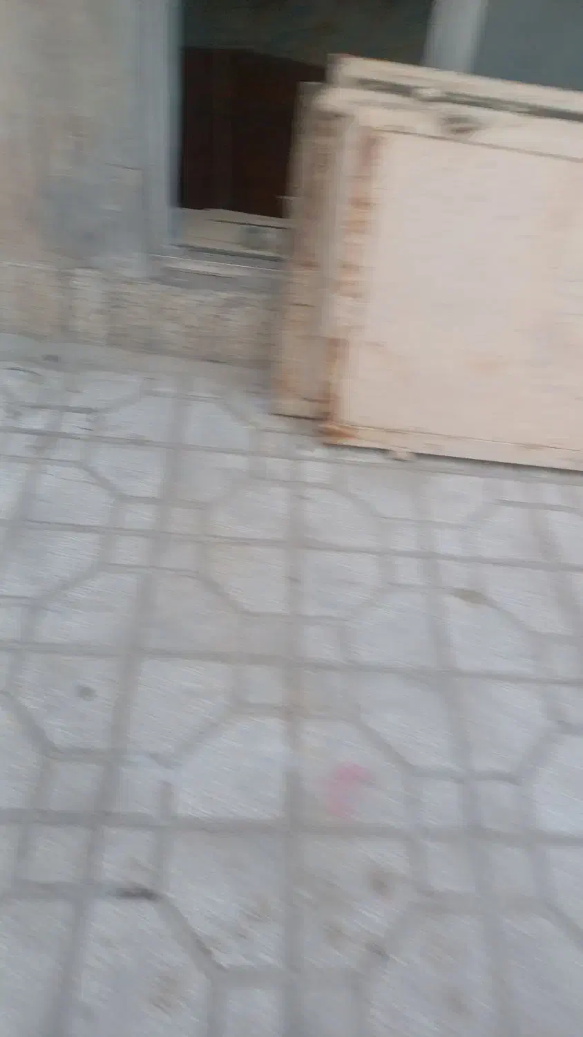 شیدزو|سگ|سبزوار, میدان بار|دیوار