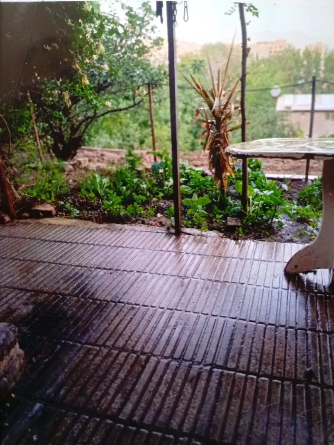 شرکت خدماتی نظافتی دماوند|خدمات نظافت|دماوند, گیلاوند|دیوار