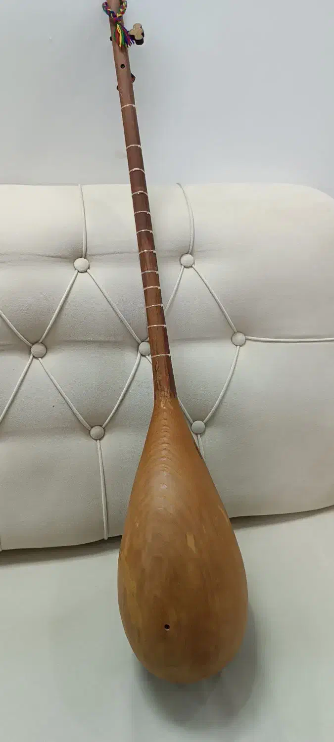 دوتار خوش صدا|سازهای سنتی|شیروان (خراسان), |دیوار